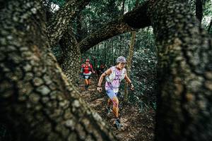 BIB: 
                            <button type="button" onclick="openModal(25392307)" class="btn btn-primary btn-sm float-right btn-popup" data-toggle="modal" data-target=".modal-high-quality">
                        <i class="fas fa-shopping-cart"></i> Add to Cart
                    </button>
                                            <button type="button" onclick="isThisMe(25392307, true)" class="btn btn-success btn-sm float-right btn-popup btn-isme hidden" data-toggle="tooltip" data-placement="bottom" title="นี่คือรูปของคุณใช่ไหม คลิกที่นี่เพื่อเอาเข้าอัลบั้ม">
                        <i class="fas fa-plus"></i> Add to album
                    </button>
                    <button type="button" onclick="isThisMe(25392307, false)" class="btn btn-warning btn-sm float-right btn-popup btn-isnotme hidden">
                        <i class="fas fa-ban"></i> Remove from album
                    </button>